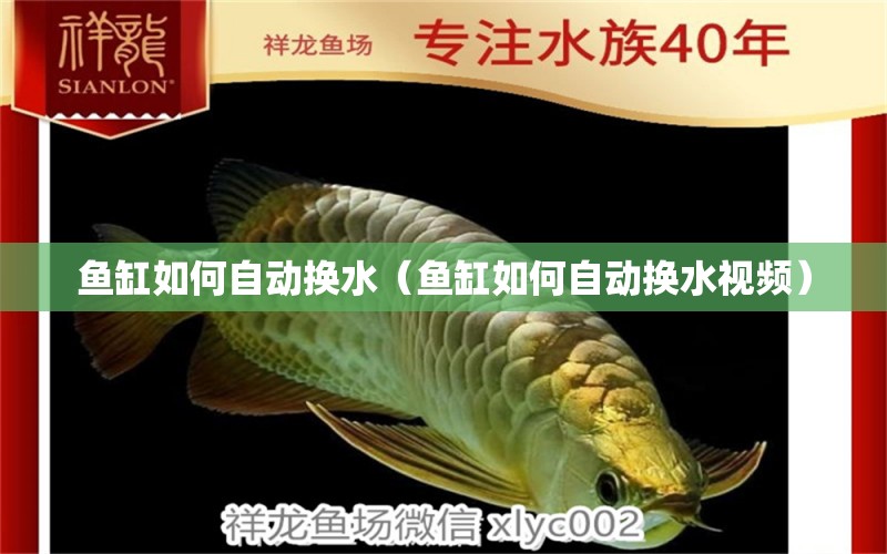 鱼缸如何自动换水（鱼缸如何自动换水视频） 祥龙水族医院