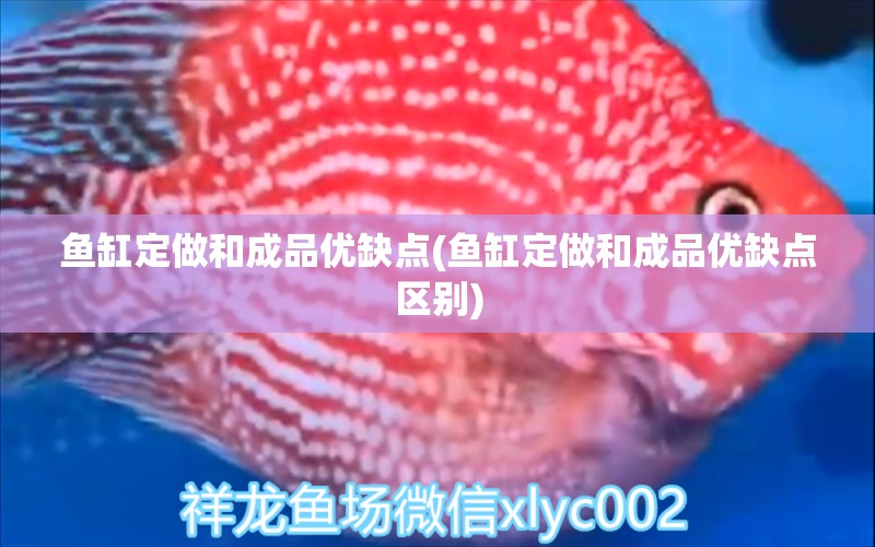 鱼缸定做和成品优缺点(鱼缸定做和成品优缺点区别) 祥龙水族医院