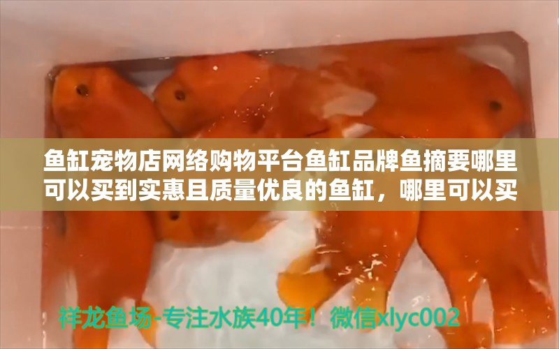 鱼缸宠物店网络购物平台鱼缸品牌鱼摘要哪里可以买到实惠且质量优良的鱼缸，哪里可以买到价格实惠且质量优良的鱼缸以及牌子鱼摘要 观赏鱼饲料 第2张