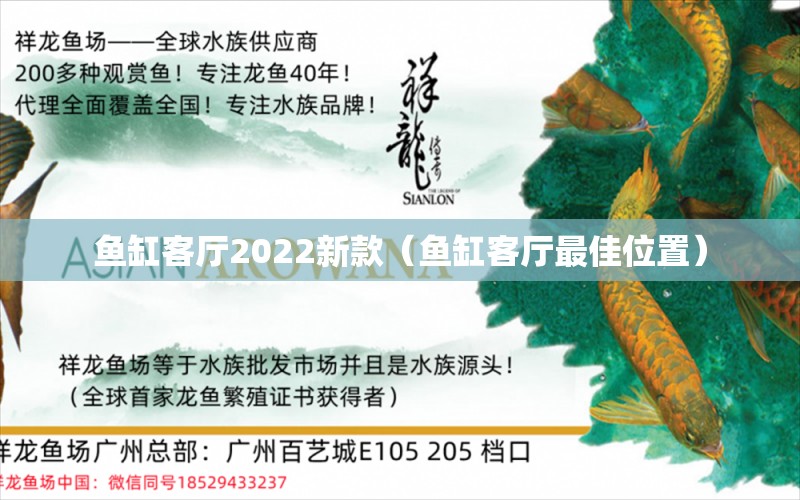 鱼缸客厅2022新款（鱼缸客厅最佳位置） 狗仔（招财猫)鱼苗