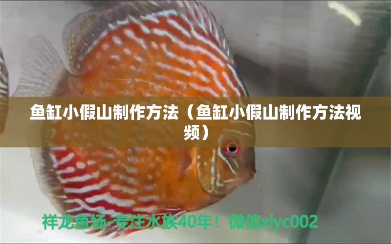 鱼缸小假山制作方法（鱼缸小假山制作方法视频） 金龙鱼粮