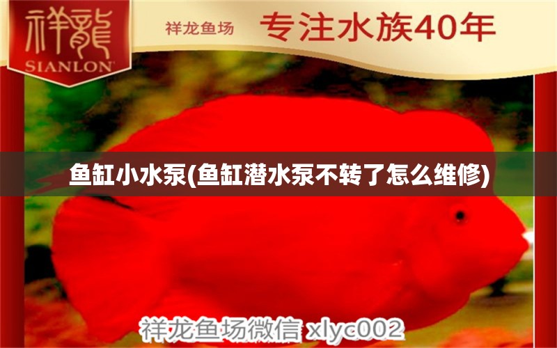 鱼缸小水泵(鱼缸潜水泵不转了怎么维修) 祥龙鱼场品牌产品 第1张