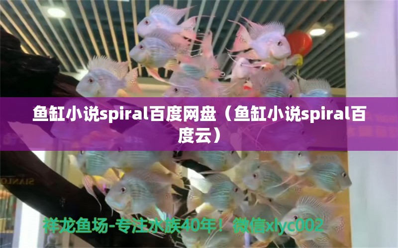 鱼缸小说spiral百度网盘（鱼缸小说spiral百度云） 祥龙水族医院