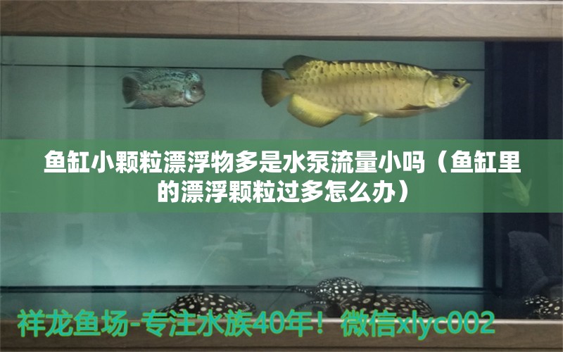 鱼缸小颗粒漂浮物多是水泵流量小吗（鱼缸里的漂浮颗粒过多怎么办）