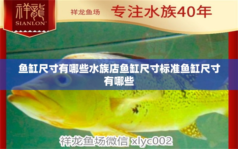 鱼缸尺寸有哪些水族店鱼缸尺寸标准鱼缸尺寸有哪些 观赏龟/鳖饲料