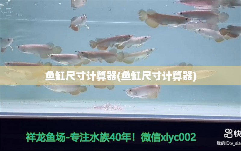 鱼缸尺寸计算器(鱼缸尺寸计算器) 泰国虎鱼（泰虎）