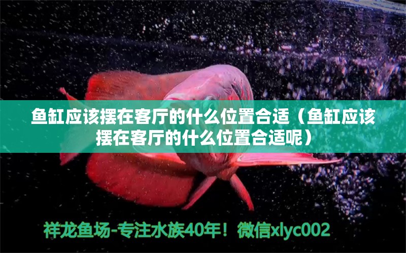 鱼缸应该摆在客厅的什么位置合适（鱼缸应该摆在客厅的什么位置合适呢）