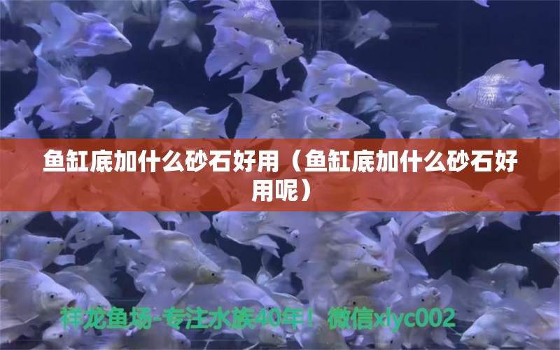 鱼缸底加什么砂石好用（鱼缸底加什么砂石好用呢） 祥龙鱼场