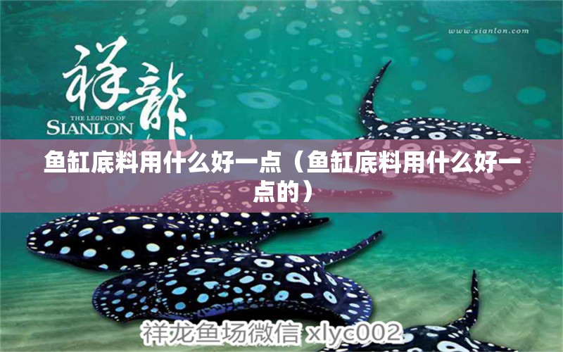 鱼缸底料用什么好一点（鱼缸底料用什么好一点的） 祥龙水族医院