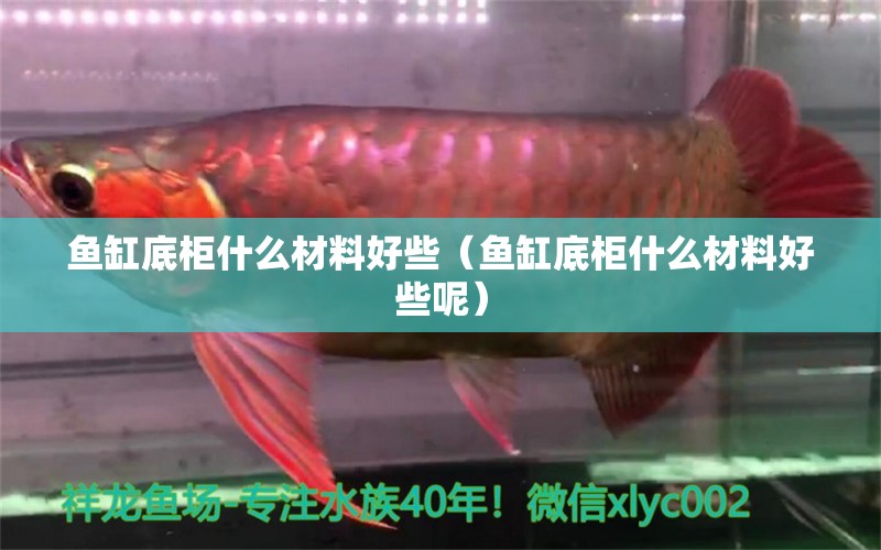 鱼缸底柜什么材料好些（鱼缸底柜什么材料好些呢） 祥龙水族医院