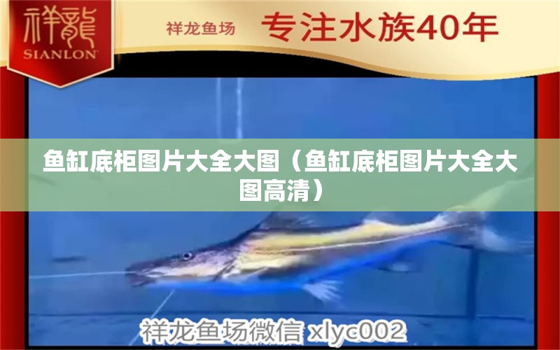 鱼缸底柜图片大全大图（鱼缸底柜图片大全大图高清） 祥龙水族医院