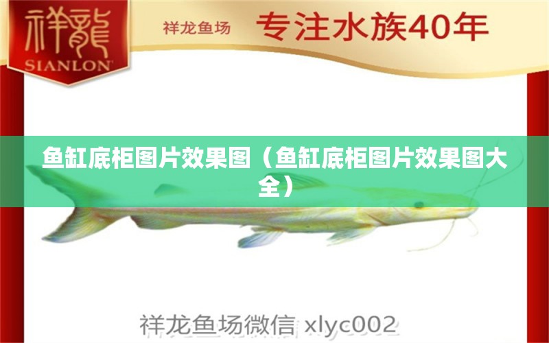 鱼缸底柜图片效果图（鱼缸底柜图片效果图大全） 祥龙水族医院