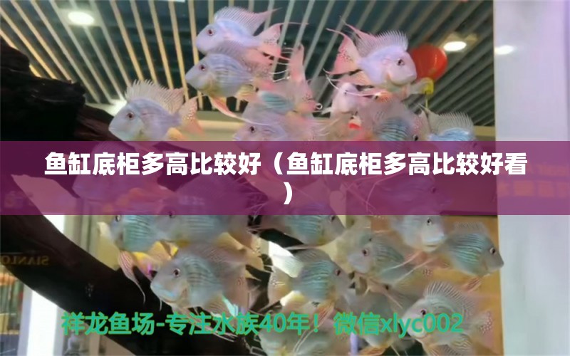 鱼缸底柜多高比较好（鱼缸底柜多高比较好看） 祥龙水族医院