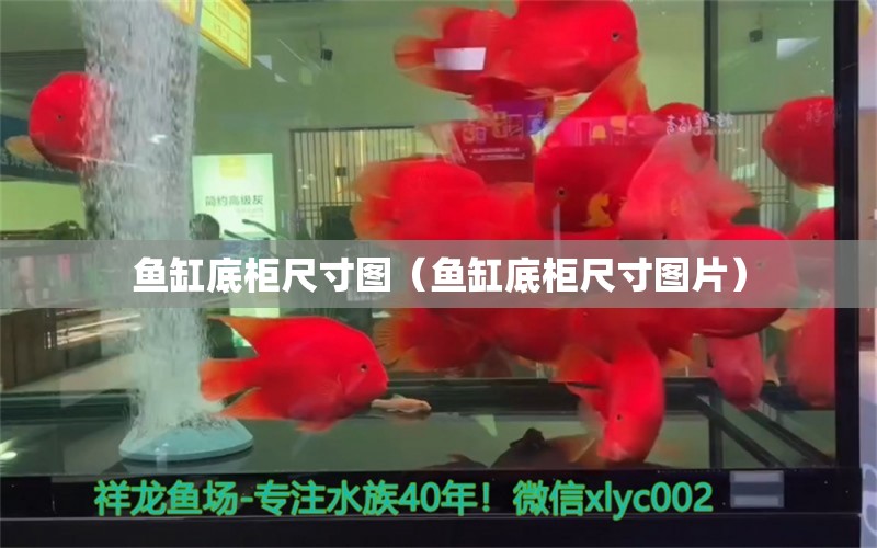 鱼缸底柜尺寸图（鱼缸底柜尺寸图片） 祥龙水族医院