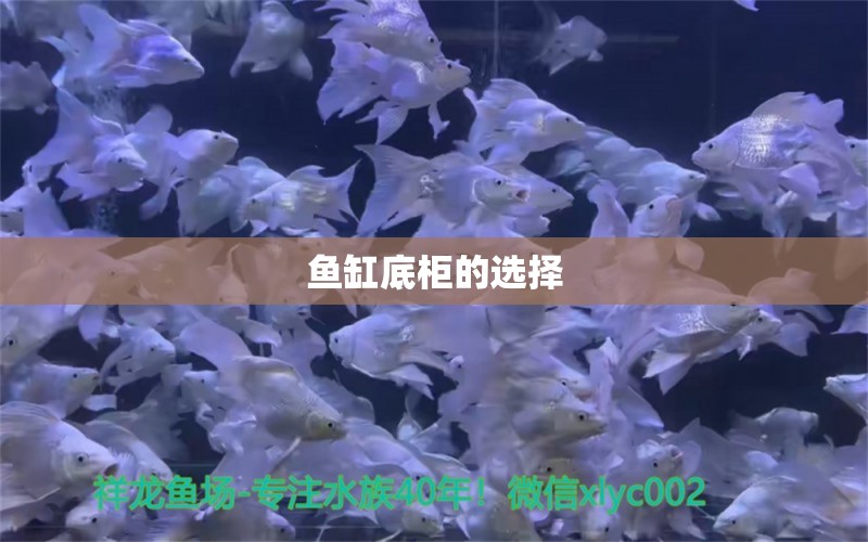 鱼缸底柜的选择 马拉莫宝石鱼