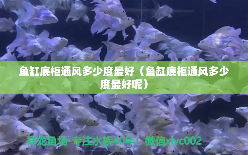 鱼缸底柜通风多少度最好（鱼缸底柜通风多少度最好呢） 祥龙水族医院