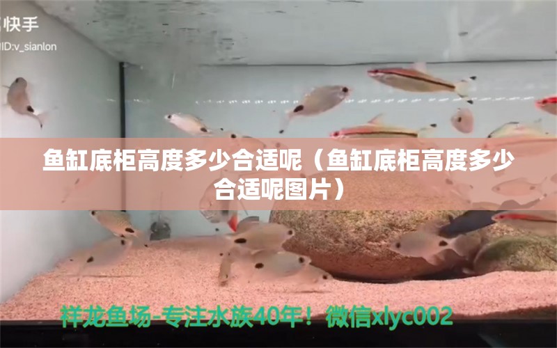 鱼缸底柜高度多少合适呢（鱼缸底柜高度多少合适呢图片） 量子养鱼技术