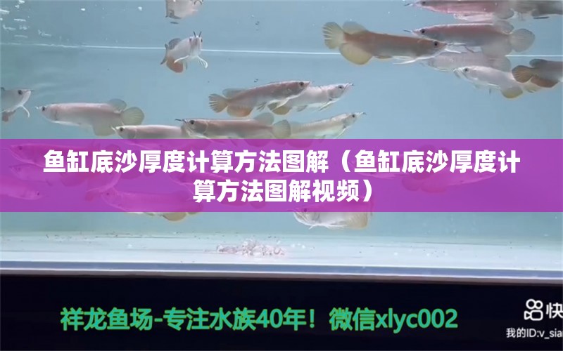 鱼缸底沙厚度计算方法图解（鱼缸底沙厚度计算方法图解视频）