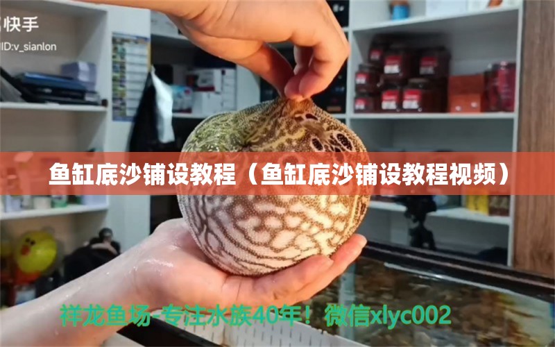 鱼缸底沙铺设教程（鱼缸底沙铺设教程视频）