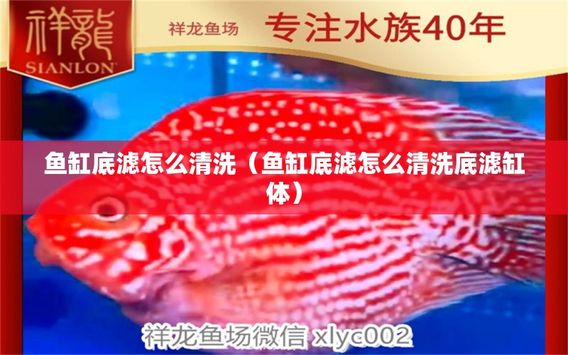 鱼缸底滤怎么清洗（鱼缸底滤怎么清洗底滤缸体） 祥龙水族医院