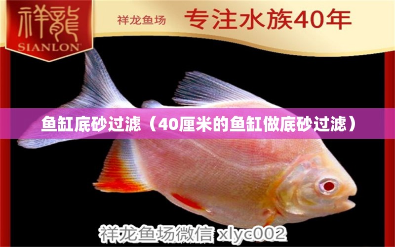 鱼缸底砂过滤（40厘米的鱼缸做底砂过滤）