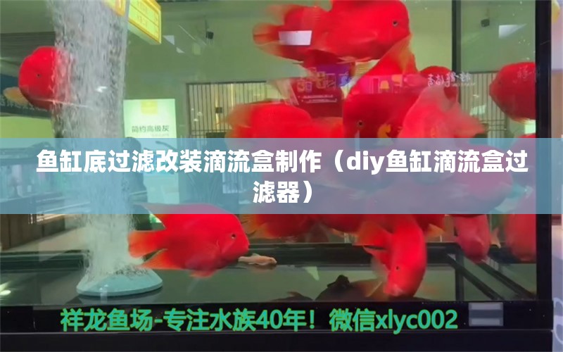 鱼缸底过滤改装滴流盒制作（diy鱼缸滴流盒过滤器） 印尼虎苗