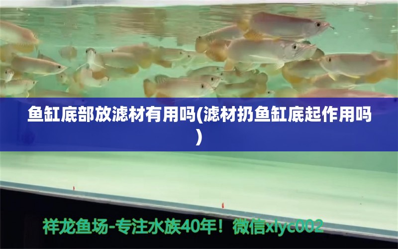 鱼缸底部放滤材有用吗(滤材扔鱼缸底起作用吗) 七彩神仙鱼 第1张