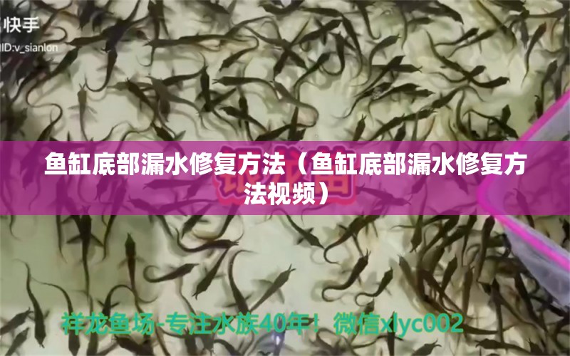 鱼缸底部漏水修复方法（鱼缸底部漏水修复方法视频） 肥料