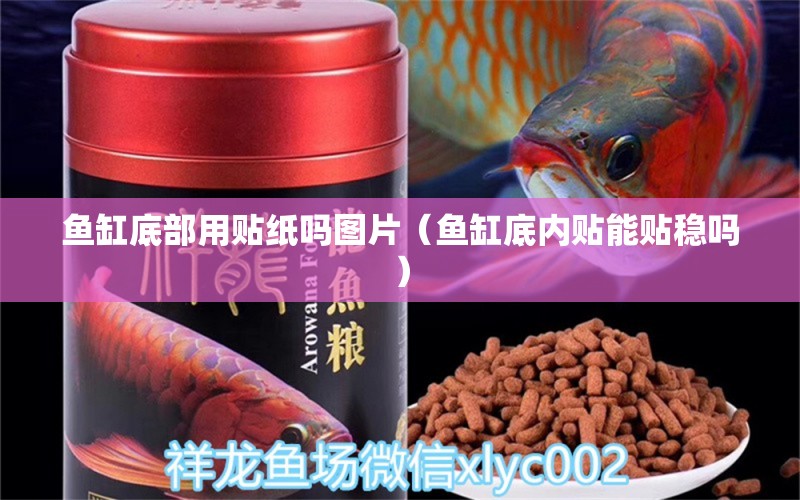 鱼缸底部用贴纸吗图片（鱼缸底内贴能贴稳吗） 广州观赏鱼批发市场