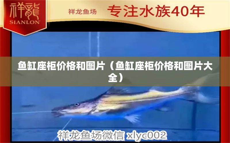 鱼缸座柜价格和图片（鱼缸座柜价格和图片大全） 祥龙水族医院