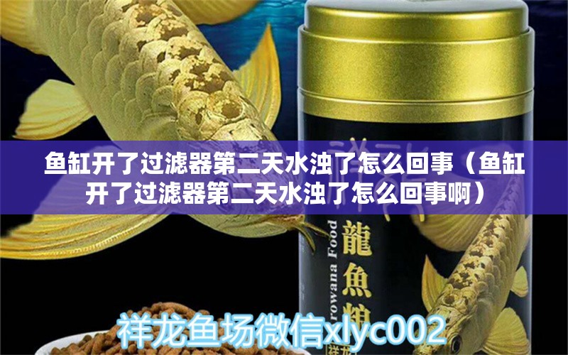 鱼缸开了过滤器第二天水浊了怎么回事（鱼缸开了过滤器第二天水浊了怎么回事啊） 祥龙鱼场