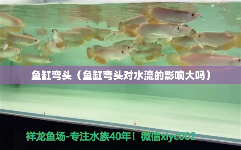 鱼缸弯头（鱼缸弯头对水流的影响大吗）