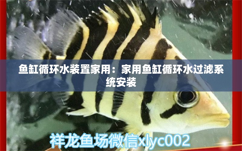 鱼缸循环水装置家用：家用鱼缸循环水过滤系统安装 养鱼知识 第1张