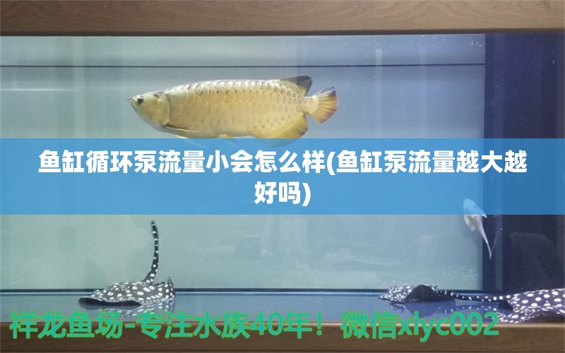 鱼缸循环泵流量小会怎么样(鱼缸泵流量越大越好吗)