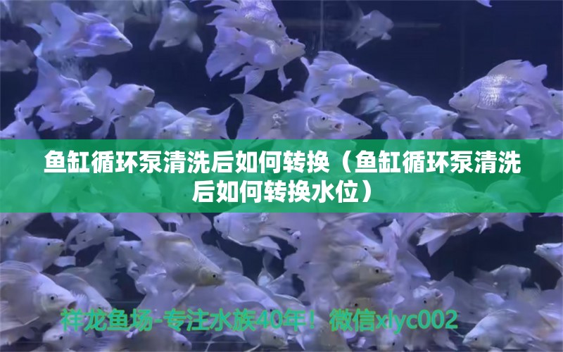 鱼缸循环泵清洗后如何转换（鱼缸循环泵清洗后如何转换水位） 水族用品