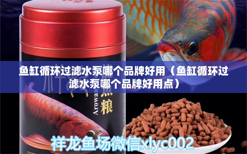 鱼缸循环过滤水泵哪个品牌好用（鱼缸循环过滤水泵哪个品牌好用点） 其他品牌鱼缸