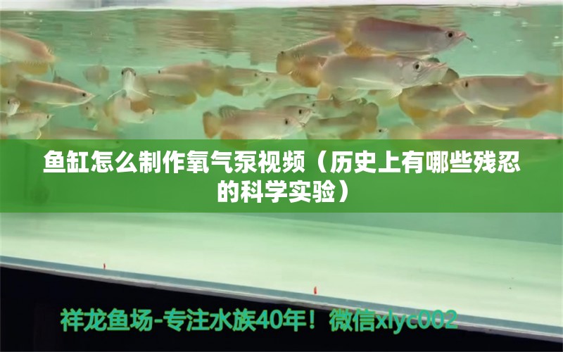 鱼缸怎么制作氧气泵视频（历史上有哪些残忍的科学实验）