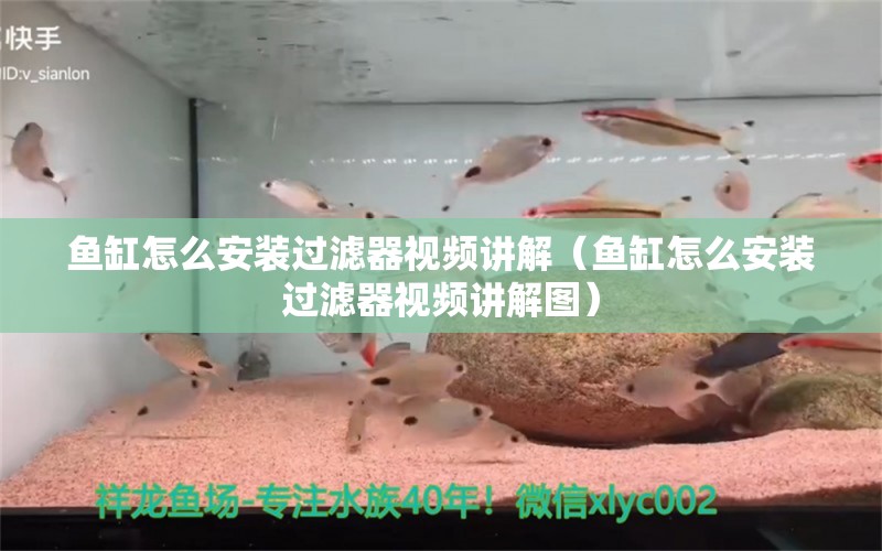 鱼缸怎么安装过滤器视频讲解（鱼缸怎么安装过滤器视频讲解图）
