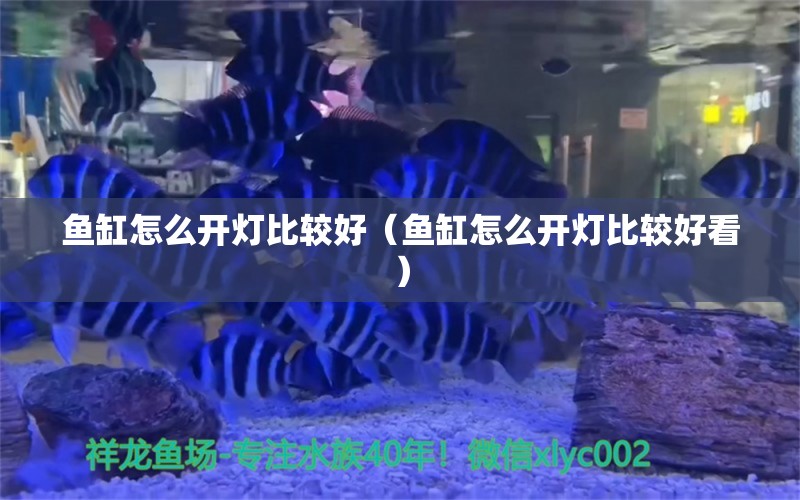 鱼缸怎么开灯比较好（鱼缸怎么开灯比较好看）