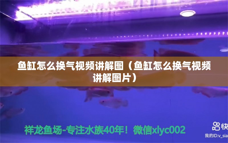 鱼缸怎么换气视频讲解图（鱼缸怎么换气视频讲解图片） 祥龙水族医院