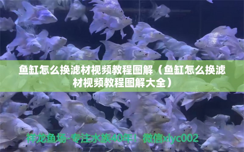 鱼缸怎么换滤材视频教程图解（鱼缸怎么换滤材视频教程图解大全）