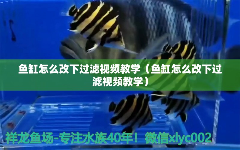 鱼缸怎么改下过滤视频教学（鱼缸怎么改下过滤视频教学） 广州水族器材滤材批发市场