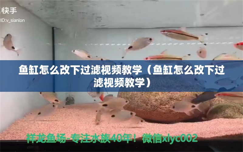 鱼缸怎么改下过滤视频教学（鱼缸怎么改下过滤视频教学）