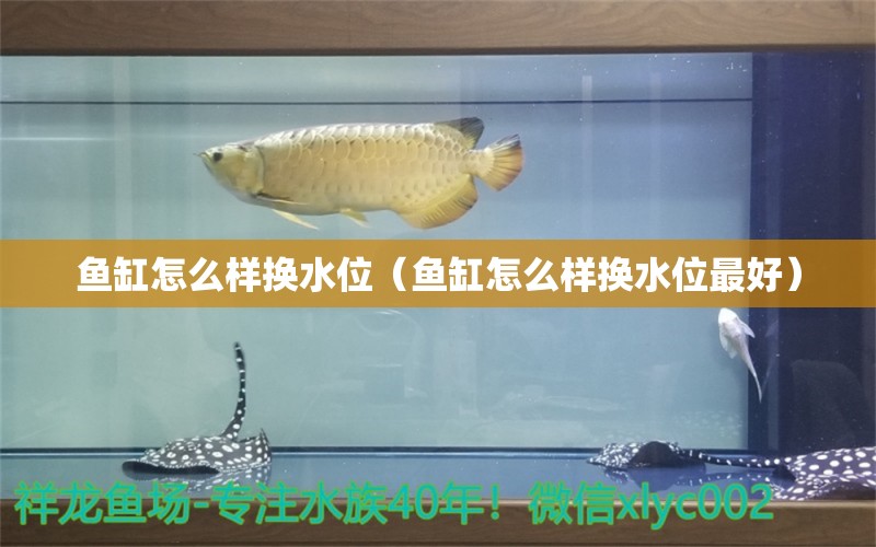 鱼缸怎么样换水位（鱼缸怎么样换水位最好）