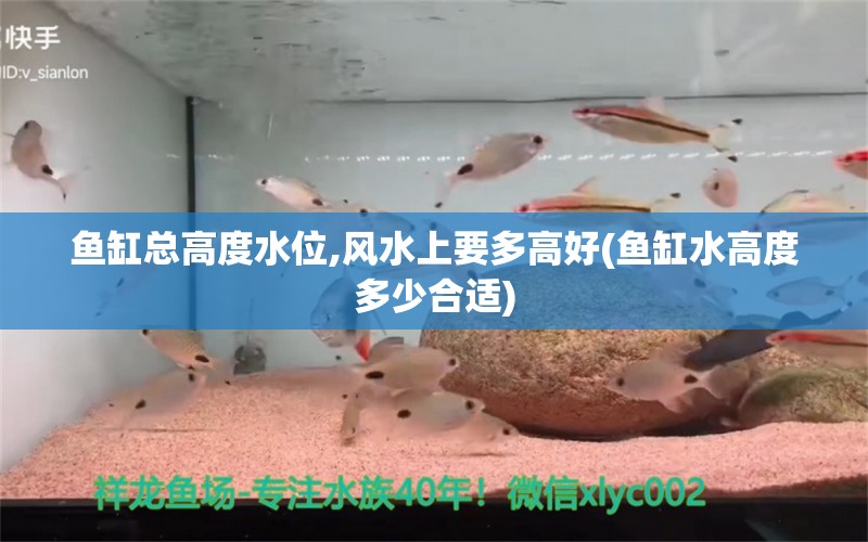 鱼缸总高度水位,风水上要多高好(鱼缸水高度多少合适)