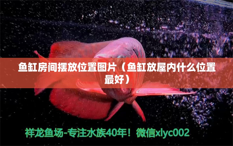 鱼缸房间摆放位置图片（鱼缸放屋内什么位置最好） 广州观赏鱼批发市场