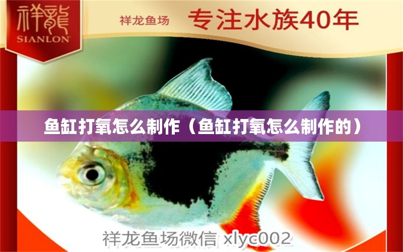 鱼缸打氧怎么制作（鱼缸打氧怎么制作的） 祥龙水族医院