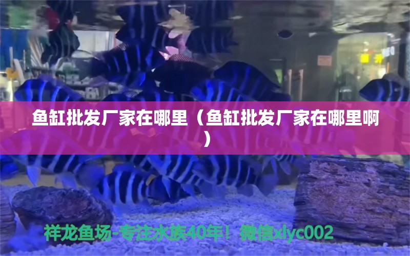 鱼缸批发厂家在哪里（鱼缸批发厂家在哪里啊）