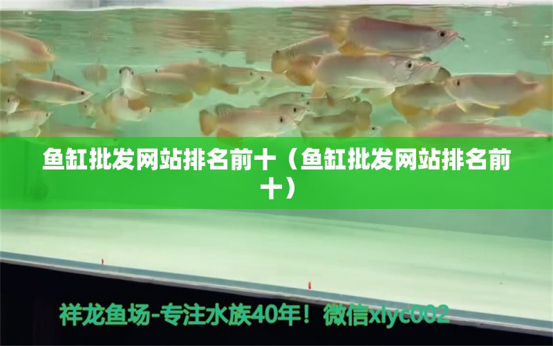 鱼缸批发网站排名前十（鱼缸批发网站排名前十） 泰庞海鲢鱼