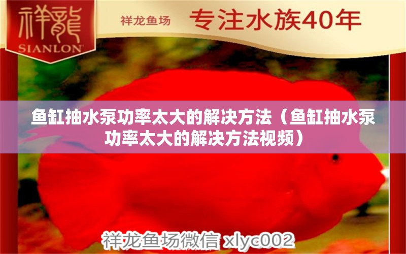 鱼缸抽水泵功率太大的解决方法（鱼缸抽水泵功率太大的解决方法视频） 观赏鱼市场（混养鱼）